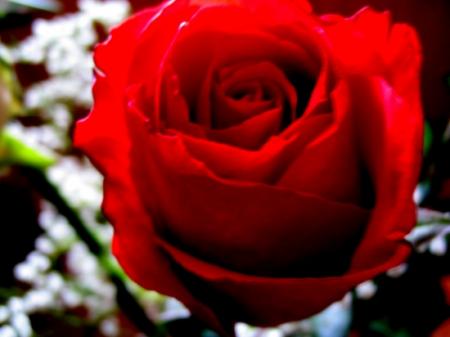 C'est Charles qui l'a dit !