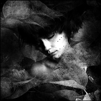 Tr�s belle chanson...