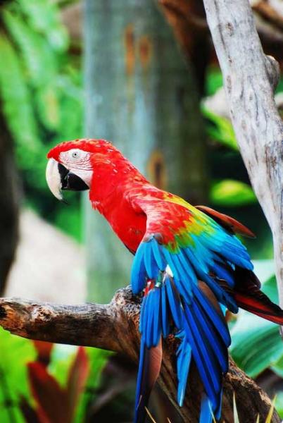 C'est pas sympa pour les hommes